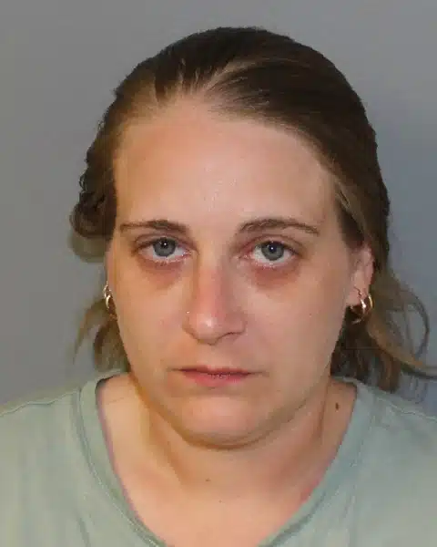 Auburn driver charged with DWI while five kids in car