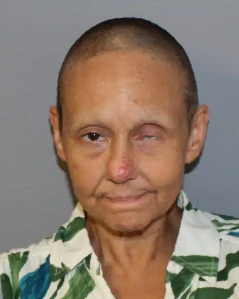 Moravia woman arrested in Seneca Falls theft investigation Moravia woman arrested in Seneca Falls theft investigation