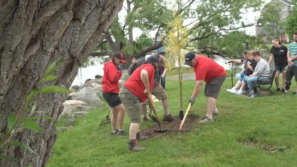 Tree planted in Canandaigua honors tortured man Tree planted in Canandaigua honors tortured man