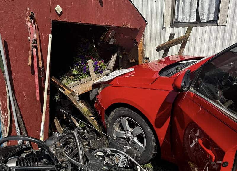 Cat injured, residents unharmed after car smashes into mobile home Cat injured, residents unharmed after car smashes into mobile home