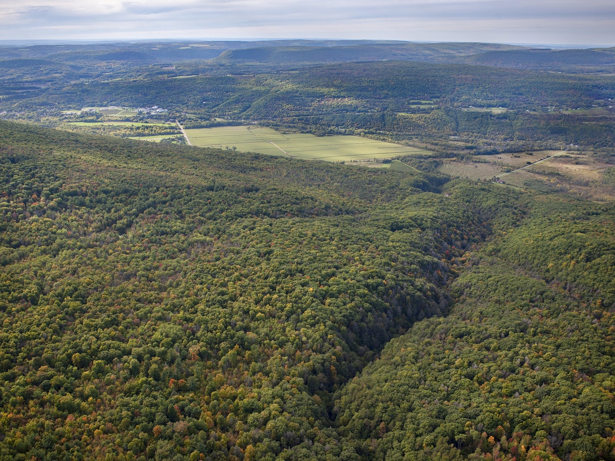 Finger Lakes Land Trust launches major forest conservation project Finger Lakes Land Trust launches major forest conservation project