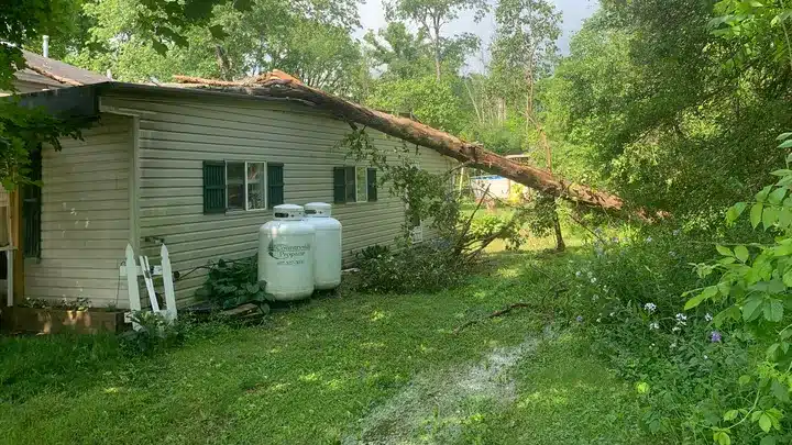 Savona family seeks help after devastating storm damage Savona family seeks help after devastating storm damage