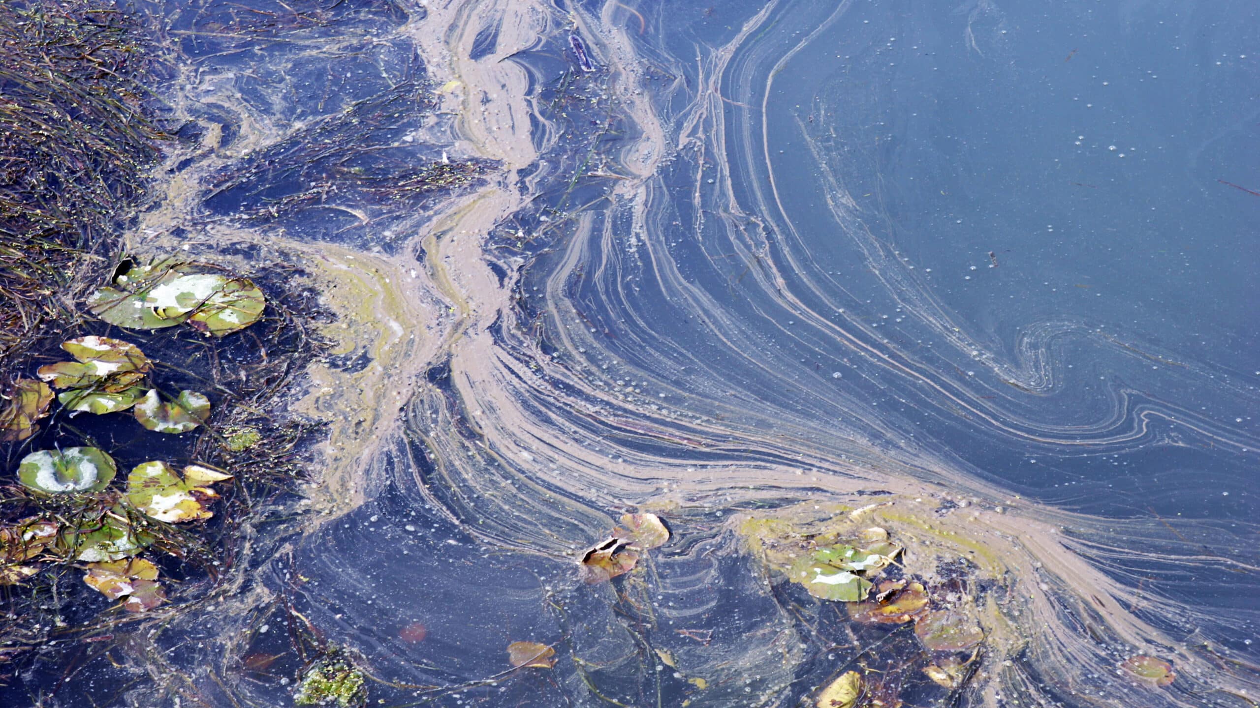 DuPont agrees to M settlement in toxic water case DuPont agrees to M settlement in toxic water case