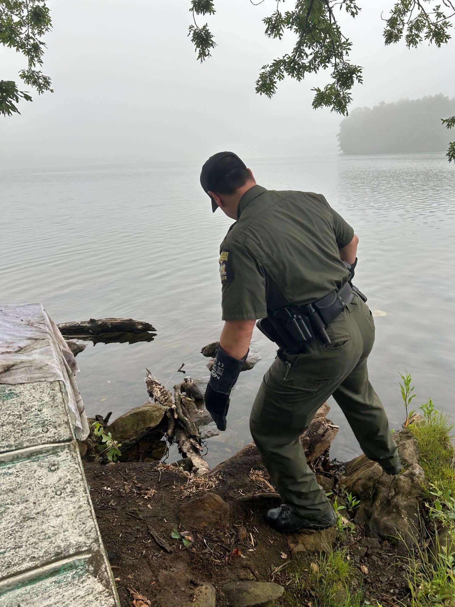 Environmental police rescue wildlife, bust poachers in statewide patrols