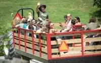 Watkins Glen farm to host vegan-friendly hoedown