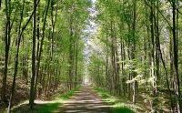 Ithaca's Black Diamond Trail receives major upgrades at Taughannock Falls