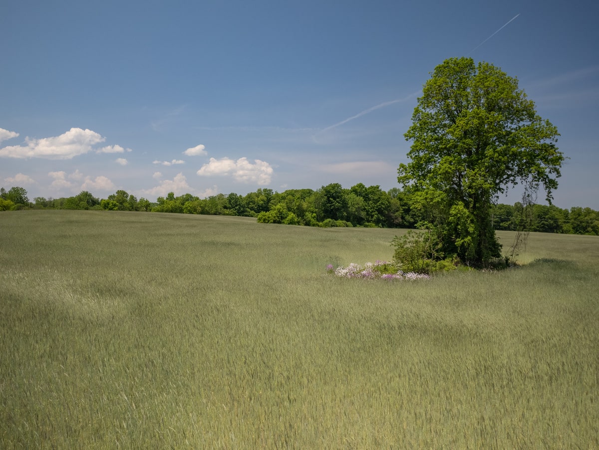 Farmland donation near Cayuga Lake funds conservation internships Farmland donation near Cayuga Lake funds conservation internships