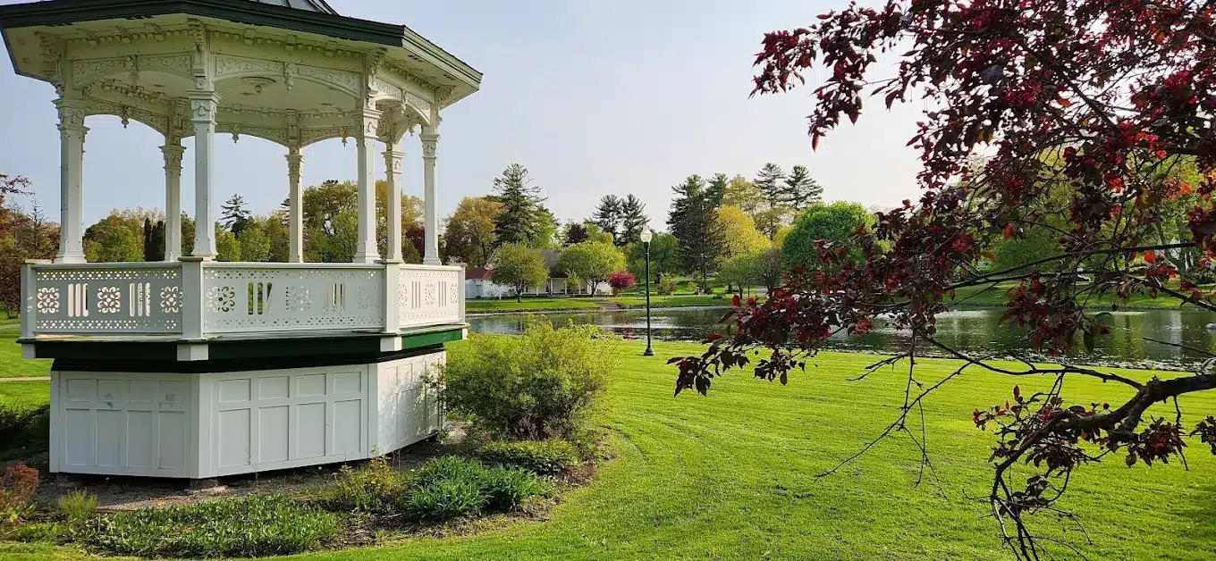 Hoopes Park pond plagued by weeds, missing fountains
