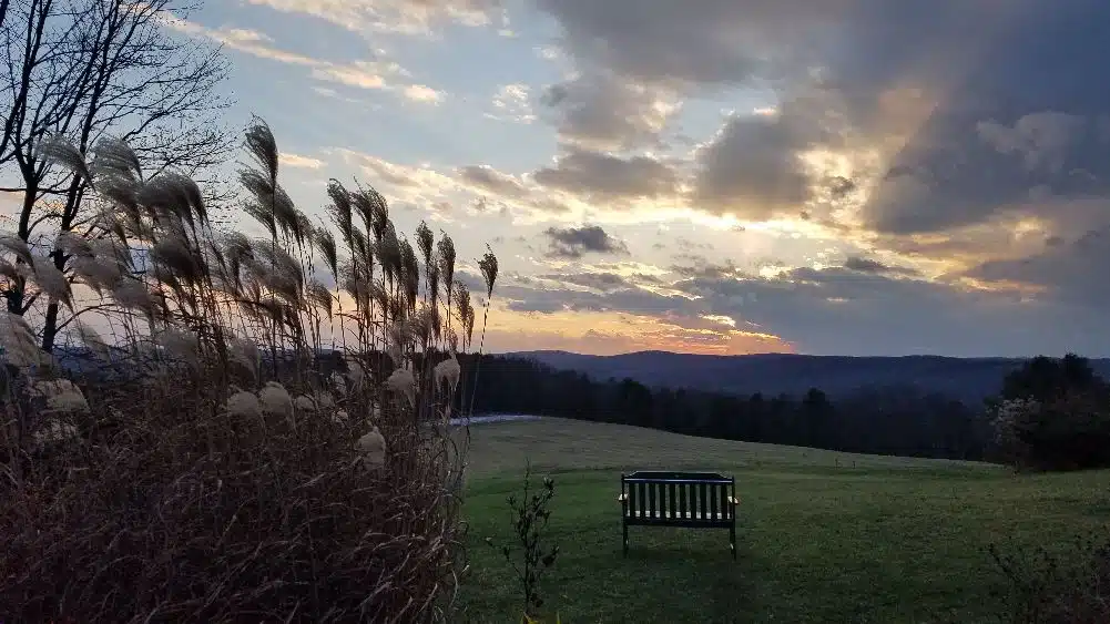 Wild Woman Retreat at Light on the Hill: A conversation with Lindsay Cray Wild Woman Retreat at Light on the Hill: A conversation with Lindsay Cray