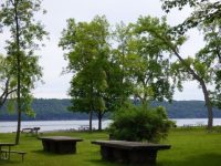 Toxic algae bloom spreads from Varick to Taughannock
