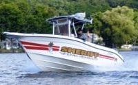 Boat slams into shore in Yates County, driver ejected