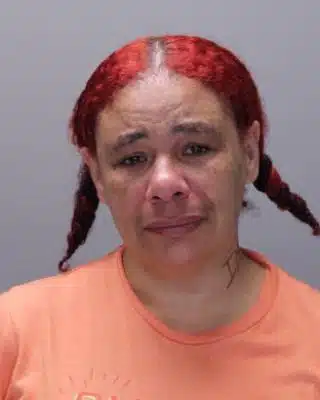 Canandaigua woman charged in identity theft investigation