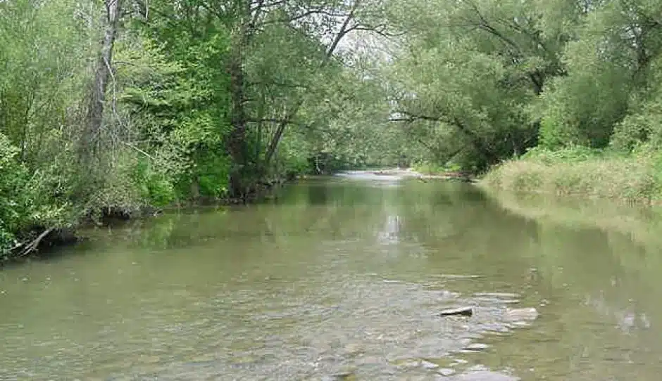 Ischua Creek closed to recreation after fish die-off and suspected waste discharge Ischua Creek closed to recreation after fish die-off and suspected waste discharge