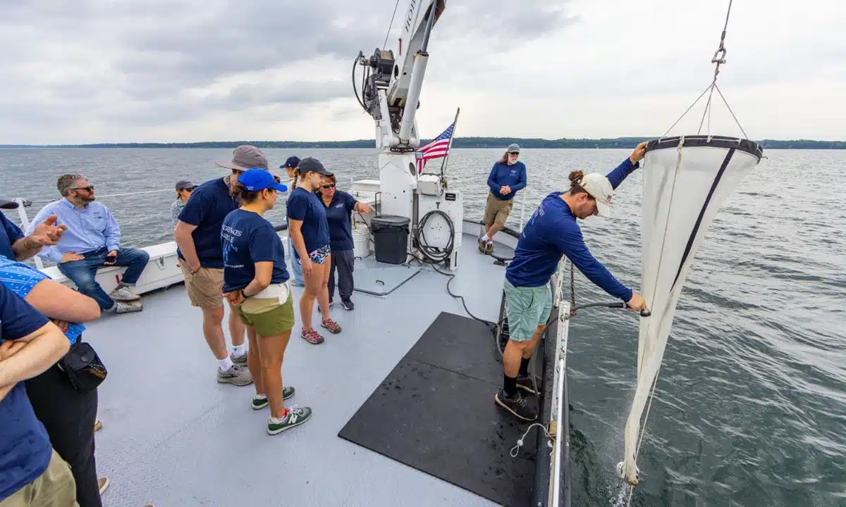 Seneca Lake update shows clear water, no HABs Seneca Lake update shows clear water, no HABs