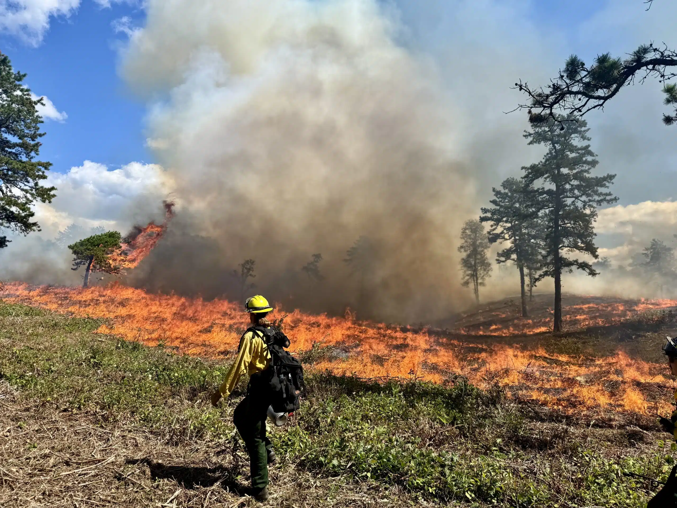 Forest Rangers rescue hikers, fight fires, and issue tickets across NY