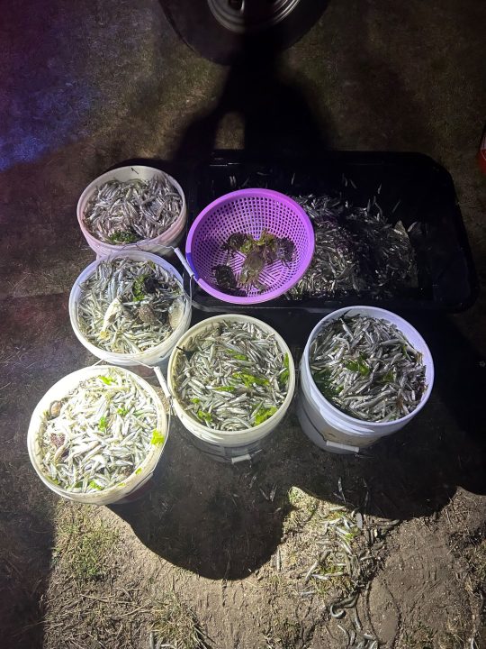 Thousands of illegally caught fish discovered at Jones Beach State Park in Nassau County