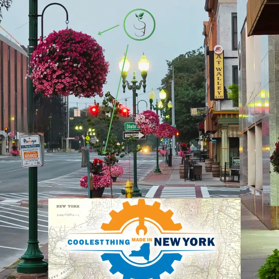 Auburn’s EarthPlanter wins top NY honor Auburn’s EarthPlanter wins top NY honor