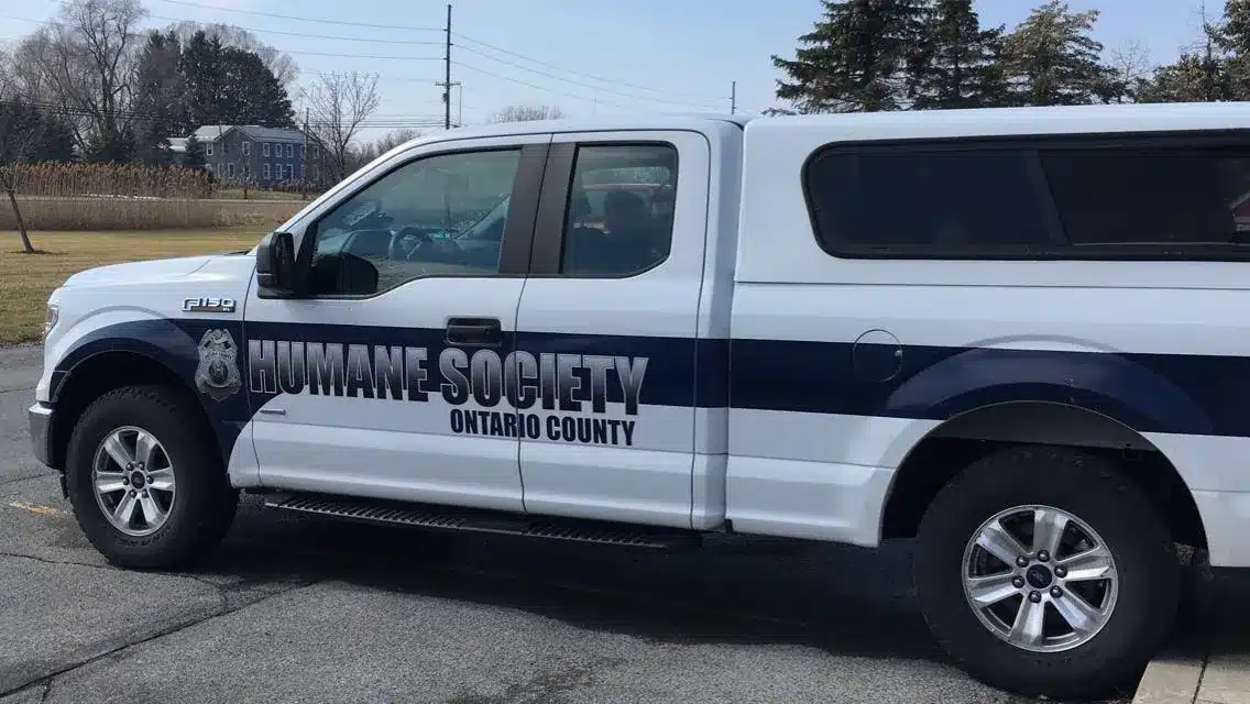 Two charged in animal cruelty case in Canandaigua