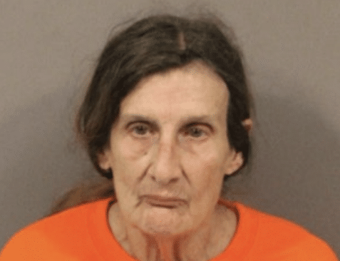 Cayuga woman charged in property damage incidents across two towns Cayuga woman charged in property damage incidents across two towns