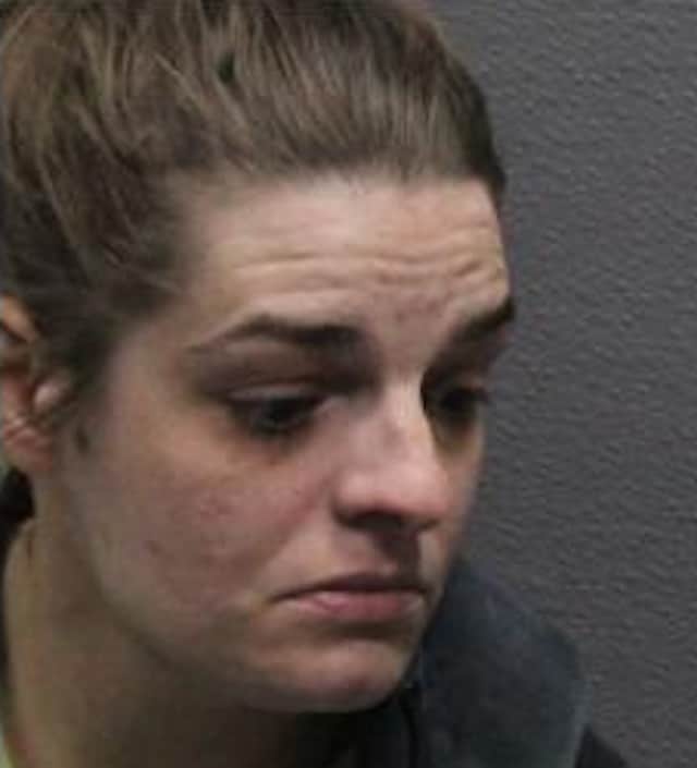 Geneva woman arrested after Bath school lockout: What happened?