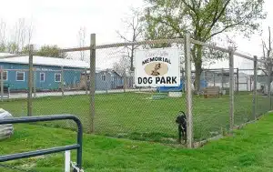 All animals adopted before Waterloo shelter closure