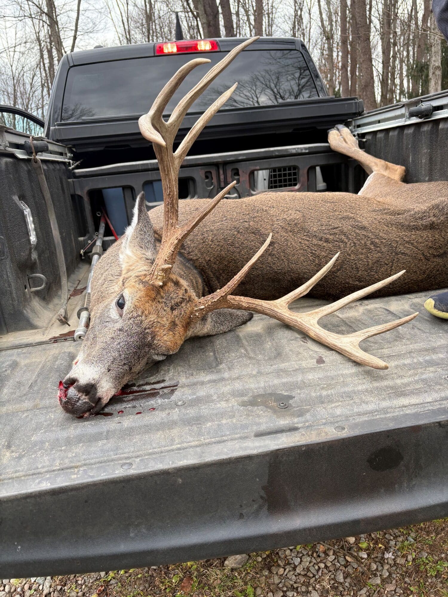 DEC officers crack down on poaching statewide