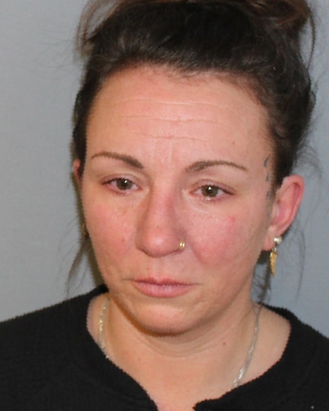 Police: Seneca Falls woman failed to comply with court orders Police: Seneca Falls woman failed to comply with court orders