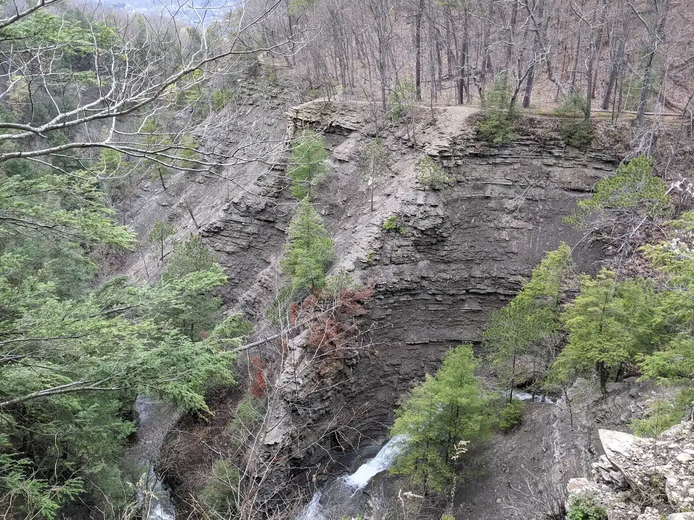 Hiker rescued after fall in Naples gully at High Tor Wildlife Management Area