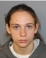Seneca Falls teen faces felony charges after domestic incident