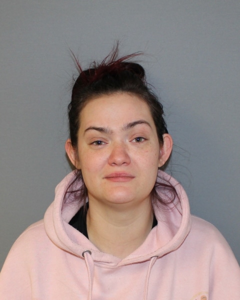 Seneca Falls woman charged after child abuse investigation