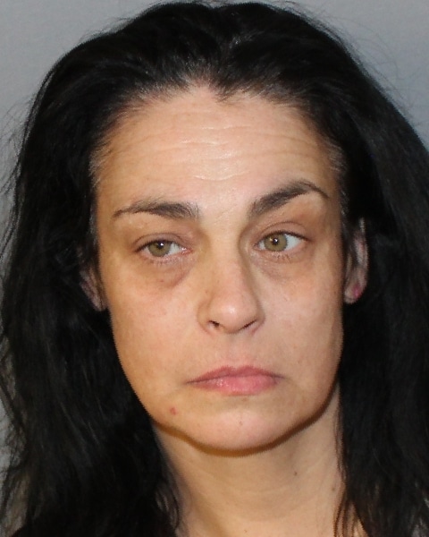 Seneca Falls woman charged after domestic dispute
