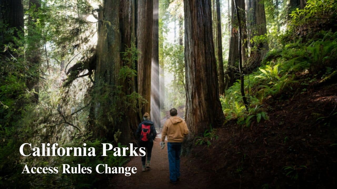 California State Parks free pass program attracts surge in visitors as new access rules roll out across the state
