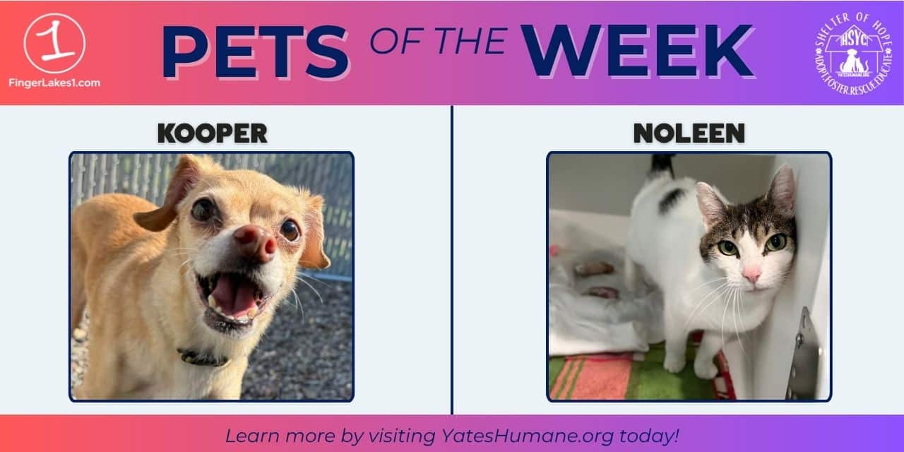 PETS OF THE WEEK: Kooper and Noleen