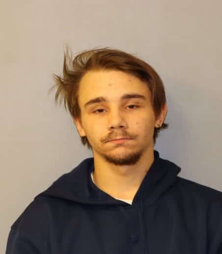 Ithaca man pleads guilty in Schuyler County fatal crash