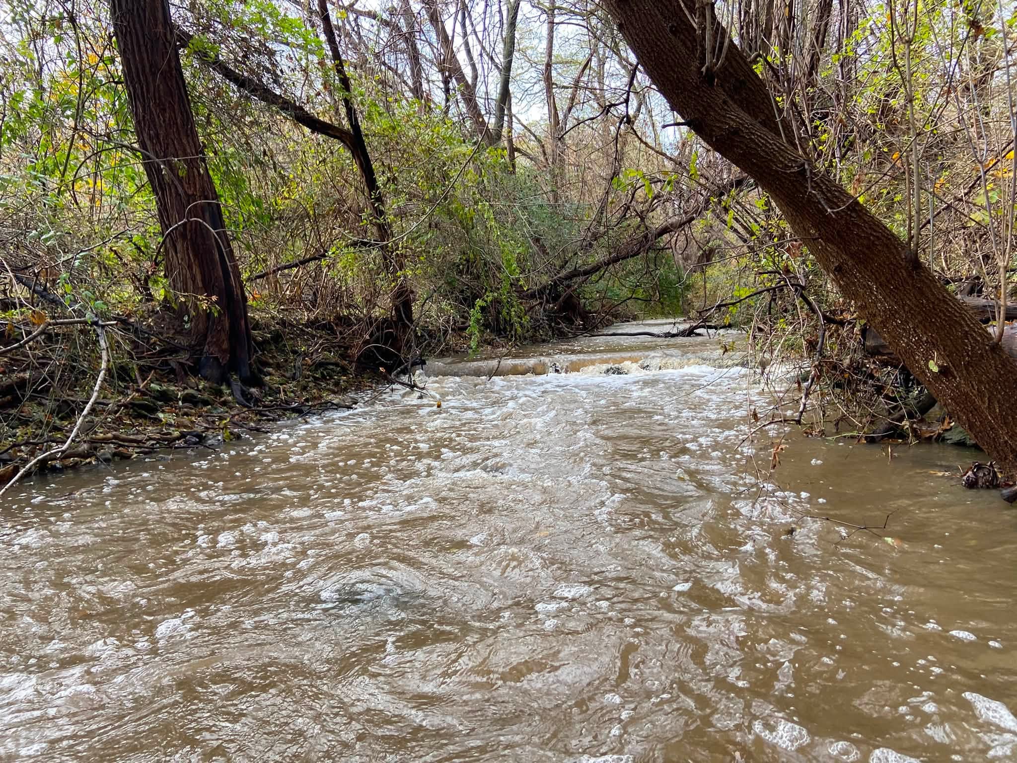First Castle Creek Festival planned at Brook Street Park in Geneva First Castle Creek Festival planned at Brook Street Park in Geneva