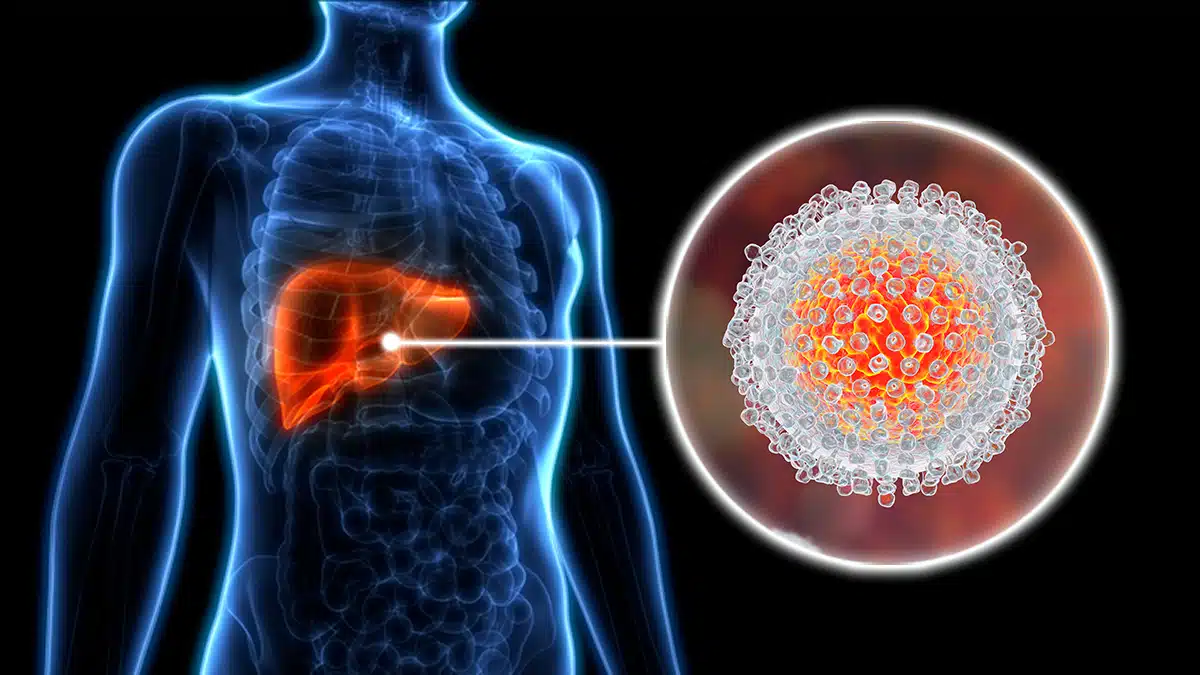 Cornell researcher receives Pew grant to advance hepatitis C vaccine research