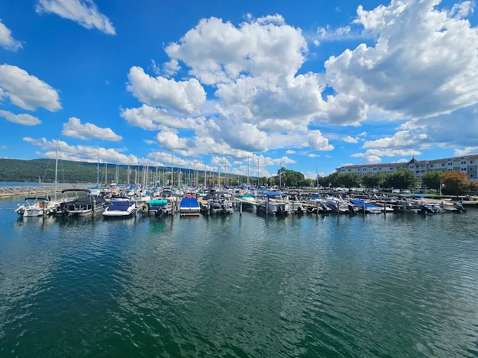 Schuyler County seeks information after dog bite at Seneca Harbor Park