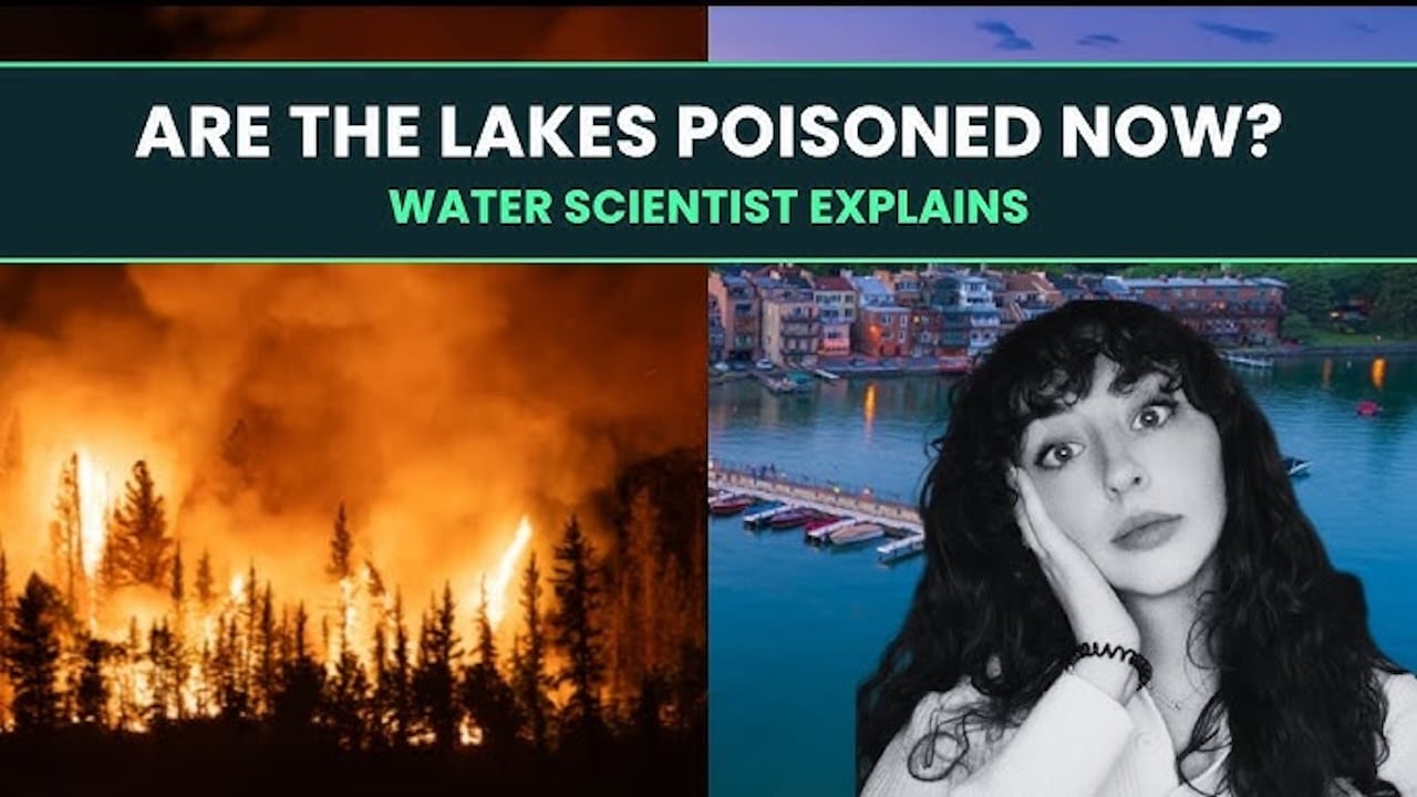 AQUADIARY: How does wildfire smoke impact lake water? (podcast)