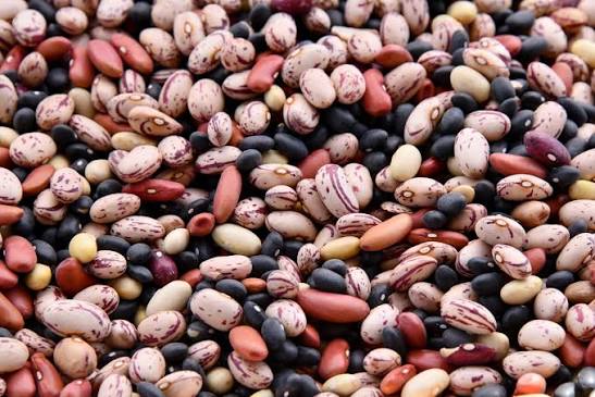 Cornell study finds biofortified millet may support children’s gut health