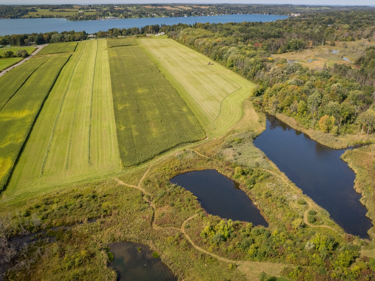 Finger Lakes Land Trust protects 90 acres near Skaneateles Lake