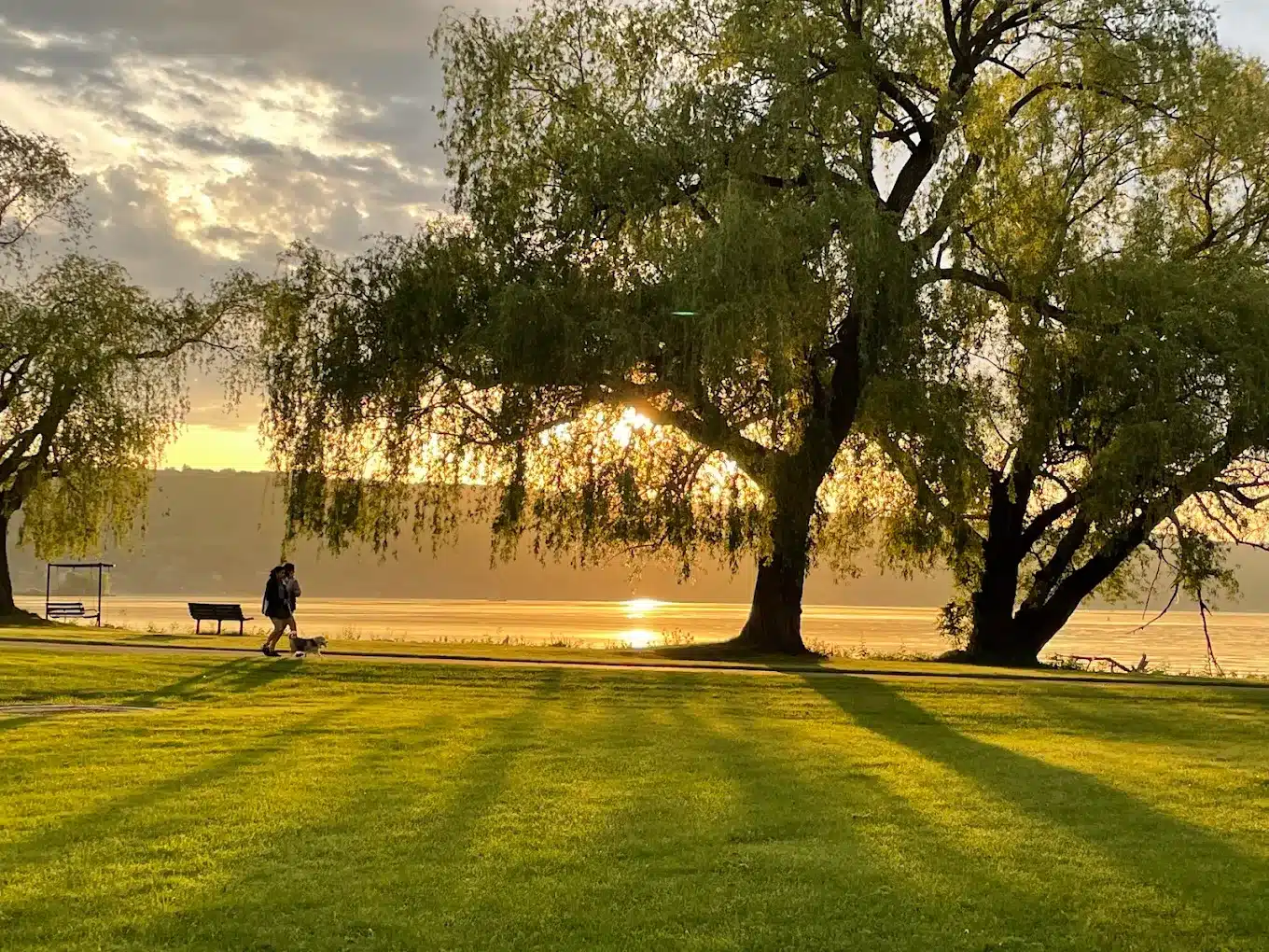 Liberty Trees to be dedicated at Ithaca’s Stewart Park Liberty Trees to be dedicated at Ithaca’s Stewart Park