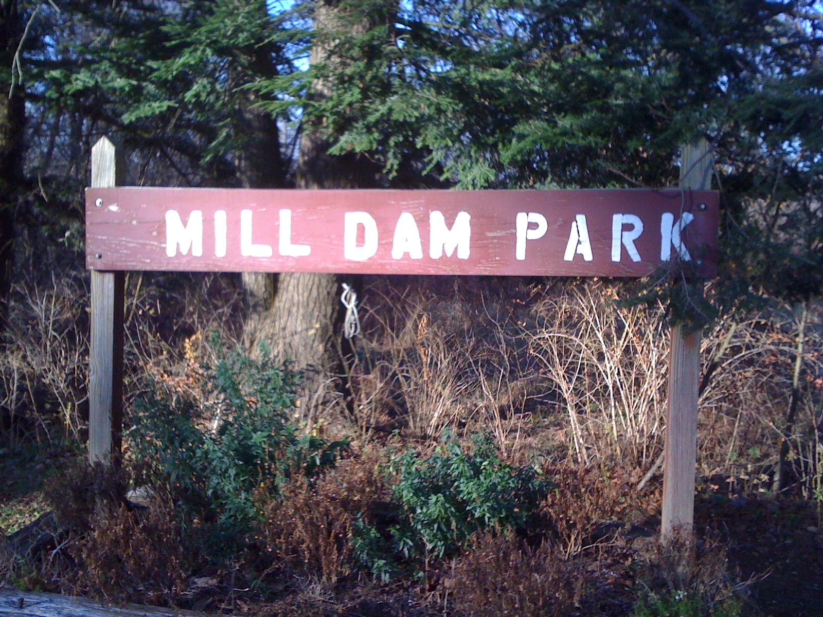 Mill Dam Park improvements in Freeville continue