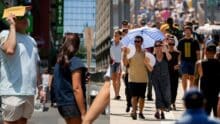 New York City Temperature Forecast July 11 2026 Shows Daily Low as Residents Prepare for Weather Changes