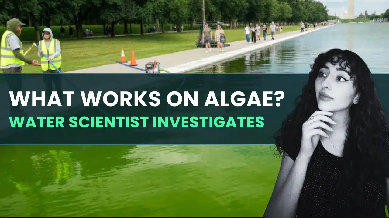 AquaDiary: Is there a fix to harmful algal blooms? (podcast) AquaDiary: Is there a fix to harmful algal blooms? (podcast)
