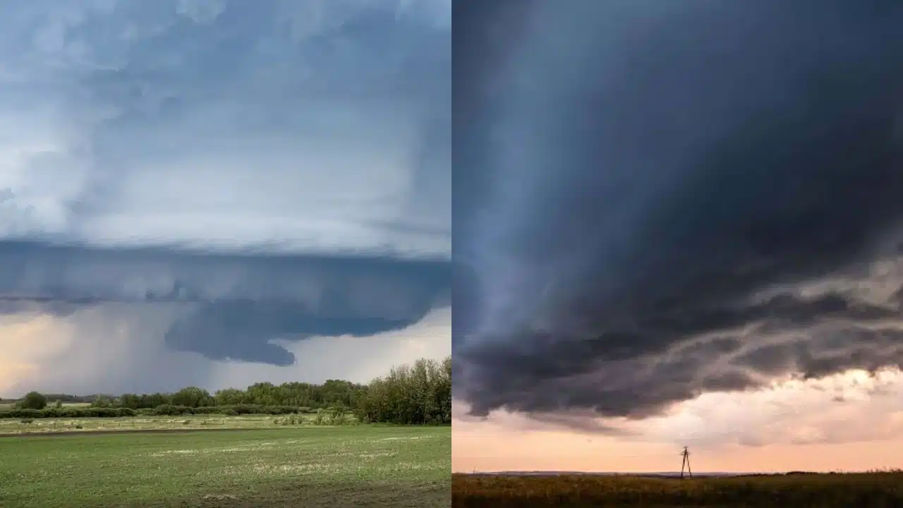 Southern Ontario Storm Warning Damaging Weather System Could Bring Tornado Risk on Thursday Southern Ontario Storm Warning Damaging Weather System Could Bring Tornado Risk on Thursday