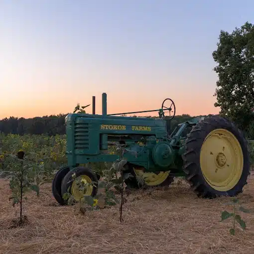 Stokoe Farms urges Hochul to veto animal act bill