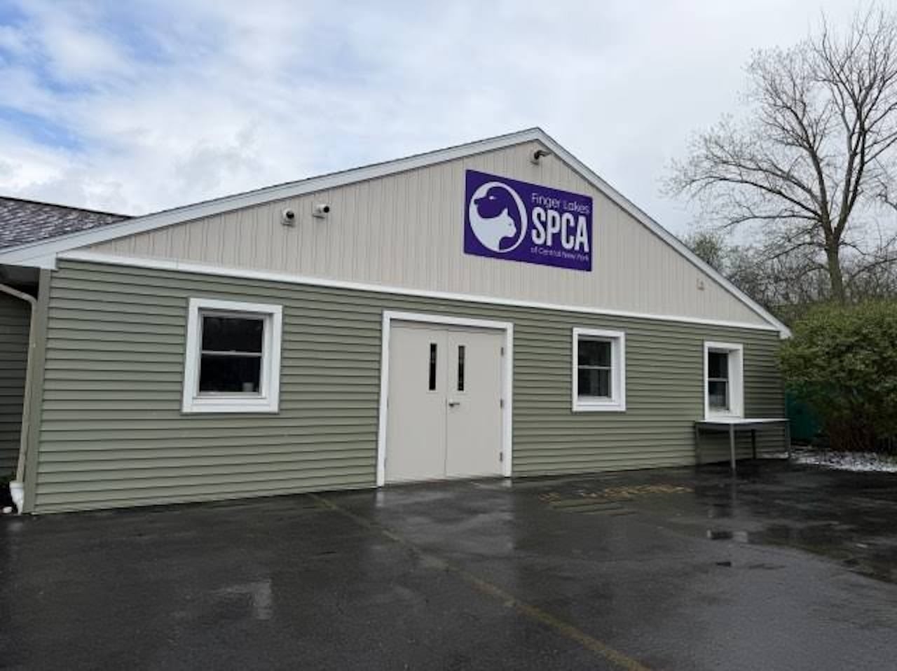 Cayuga SPCA is looking for volunteers