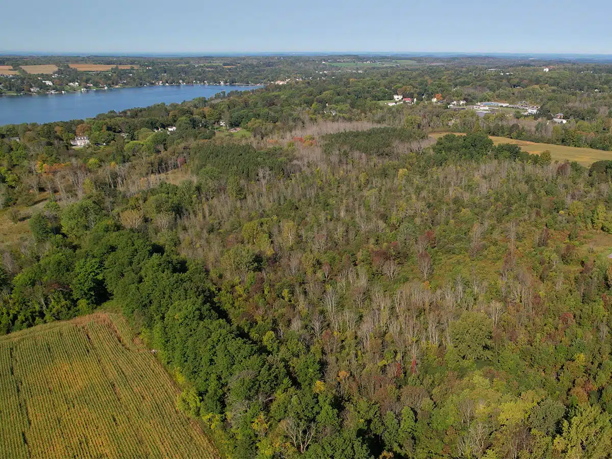Finger Lakes Land Trust plans Shotwell Brook conservation session in Skaneateles Finger Lakes Land Trust plans Shotwell Brook conservation session in Skaneateles