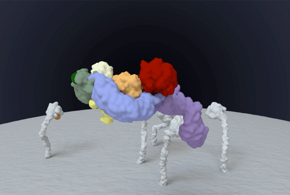 Weill Cornell maps Parkinson’s protein switch to guide targeted drug design Weill Cornell maps Parkinson’s protein switch to guide targeted drug design