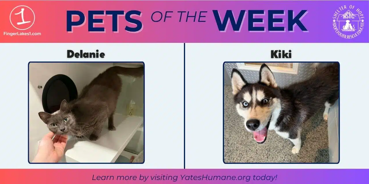 PETS OF THE WEEK: Meet Kiki and Delanie!